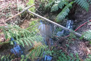 1360 Argonaut Ln, West Point, CA 95255 - Photo 38