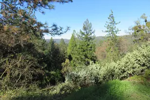 1360 Argonaut Ln, West Point, CA 95255 - Photo 30