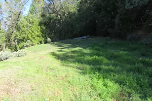 1360 Argonaut Ln, West Point, CA 95255 - Photo 28