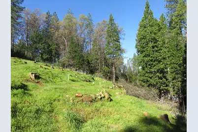 1360 Argonaut Lane, West Point, CA 95255 - Photo 24