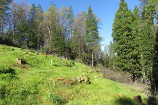 1360 Argonaut Ln, West Point, CA 95255 - Photo 24