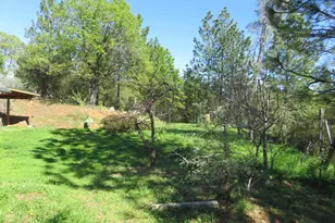 201 Sierra Madre Rd, Rail Road Flat, CA 95248 - Photo 48