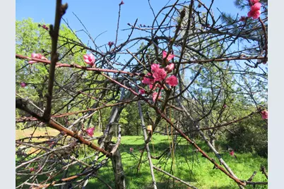 201 Sierra Madre Road, Rail Road Flat, CA 95248 - Photo 50