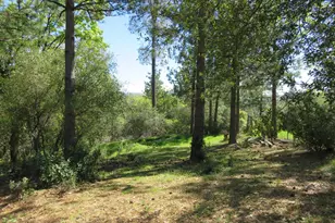 201 Sierra Madre Rd, Rail Road Flat, CA 95248 - Photo 50