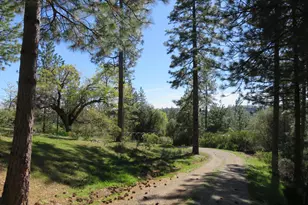 201 Sierra Madre Rd, Rail Road Flat, CA 95248 - Photo 56