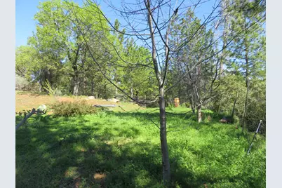 201 Sierra Madre Road, Rail Road Flat, CA 95248 - Photo 48