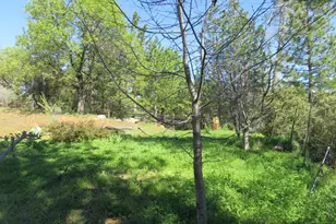 201 Sierra Madre Rd, Rail Road Flat, CA 95248 - Photo 48