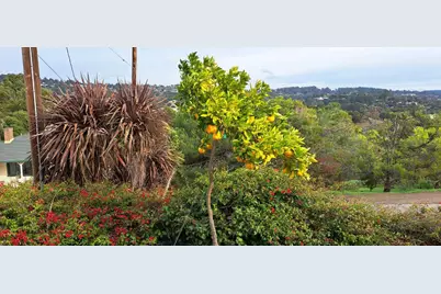 8019 Sterling Drive, Oakland, CA 94605 - Photo 8