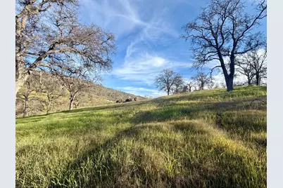 589 Pepito Dr, La Grange, CA 95329 - Photo 4