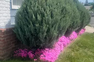 Kaseberg, Roseville, CA 95678 - Photo 36