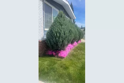 Kaseberg, Roseville, CA 95678 - Photo 42