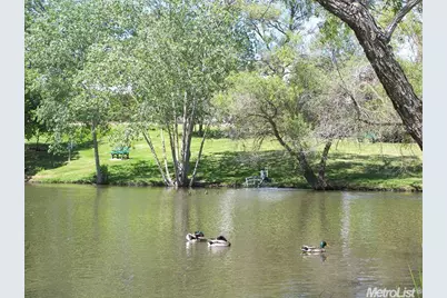 Kaseberg, Roseville, CA 95678 - Photo 48