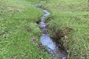 16190 Rolling Oaks Ct, Fiddletown, CA 95629 - Photo 70