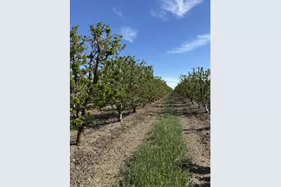 1424 Eucalyptus Avenue, Patterson, CA 95363 - Photo 8