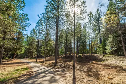 16116 Sycamore Lane, Camptonville, CA 95922 - Photo 28