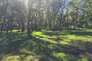 11592 Peoria, Browns Valley, CA 95918 - Photo 14