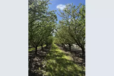 1613 Fig Avenue, Patterson, CA 95363 - Photo 26
