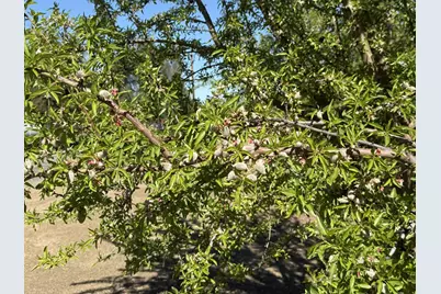 1613 Fig Avenue, Patterson, CA 95363 - Photo 36