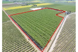 1613 Fig Ave, Patterson, CA 95363 - Photo 10