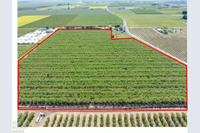 1613 Fig Avenue, Patterson, CA 95363 - Photo 8