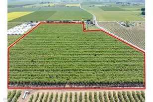 1613 Fig Ave, Patterson, CA 95363 - Photo 8