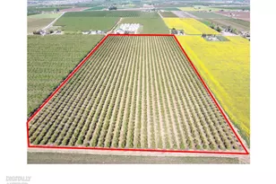 1613 Fig Ave, Patterson, CA 95363 - Photo 38