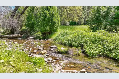 7698 Swiss Ranch Road, Mountain Ranch, CA 95246 - Photo 20