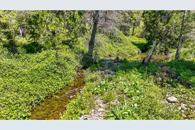 7698 Swiss Ranch Road, Mountain Ranch, CA 95246 - Photo 22