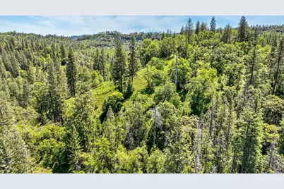 7698 Swiss Ranch Road, Mountain Ranch, CA 95246 - Photo 14