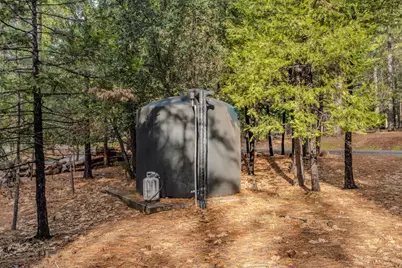 25630 Overland Drive, Volcano, CA 95689 - Photo 32