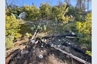 8870 Oro Quincy Highway, Berry Creek, CA 95916 - Photo 22