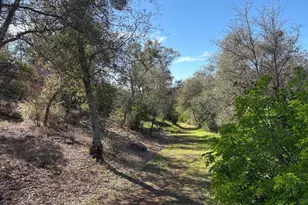 2920 Martel Creek, Rescue, CA 95672 - Photo 68