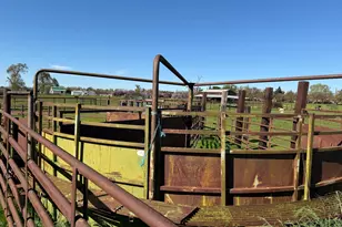 8960 Dillard Rd, Wilton, CA 95693 - Photo 28