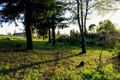 149 Jade Lane, Paradise, CA 95969 - Photo 4