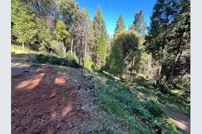 14619 Old Marysville Road, Camptonville, CA 95922 - Photo 52