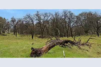 8157 Hammonton Smartsville Road, Smartsville, CA 95977 - Photo 4