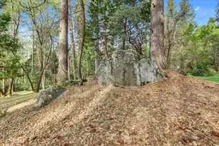 464 Monroe St, Nevada City, CA 95959 - Photo 86