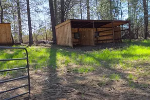 1151 Gorley Ln, Mokelumne Hill, CA 95245 - Photo 6