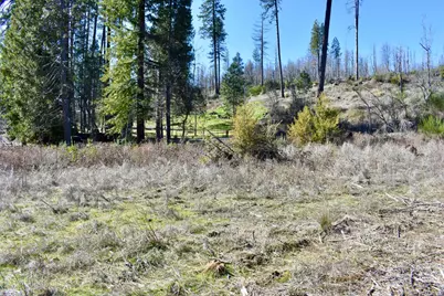 20 Meadow Lane, Berry Creek, CA 95916 - Photo 8