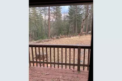 14551 Cattail Lane, Grass Valley, CA 95945 - Photo 42