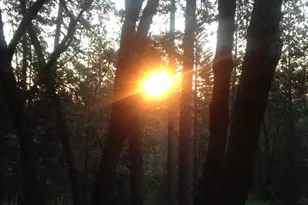 14551 Cattail Ln, Grass Valley, CA 95945 - Photo 46