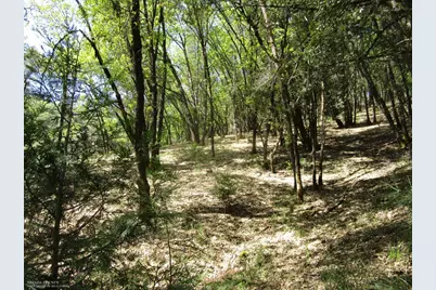 16172 Annie Drive, Grass Valley, CA 95949 - Photo 4