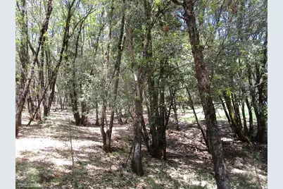 16172 Annie Drive, Grass Valley, CA 95949 - Photo 6