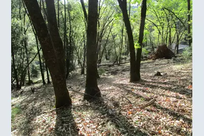 16172 Annie Drive, Grass Valley, CA 95949 - Photo 18