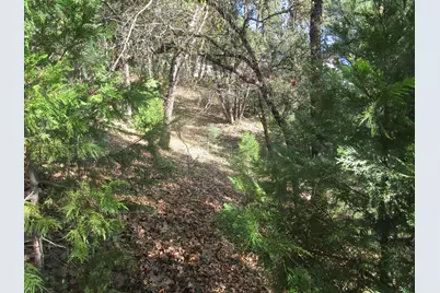 16172 Annie Drive, Grass Valley, CA 95949 - Photo 12