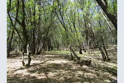 16172 Annie Drive, Grass Valley, CA 95949 - Photo 16