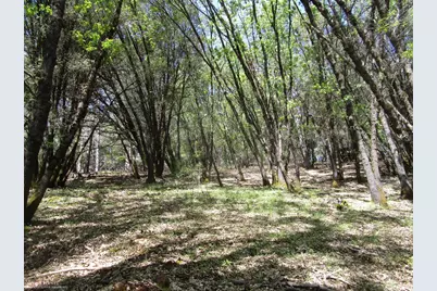 16172 Annie Drive, Grass Valley, CA 95949 - Photo 8