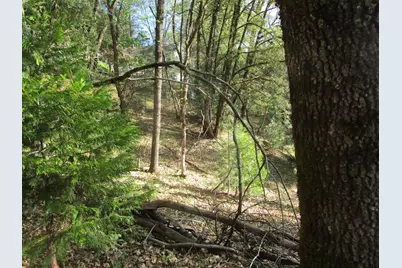 16172 Annie Drive, Grass Valley, CA 95949 - Photo 14