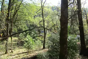 16172 Annie Dr, Grass Valley, CA 95949 - Photo 1