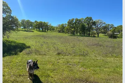 3404 Little John Road, Copperopolis, CA 95228 - Photo 1